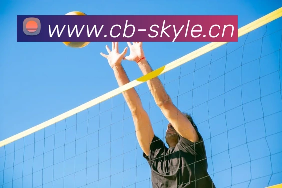 kaiyun.app官方网站服务体系